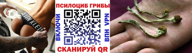 Галлюциногенные грибы мухоморы  Бологое 